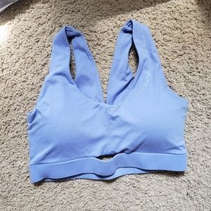 Gymshark Whitney Simmons bra